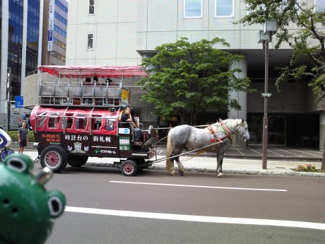 観光幌馬車だ！